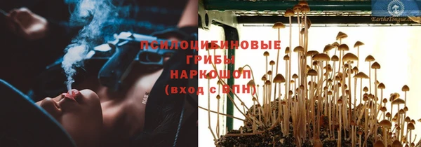 прущий лед Арсеньев