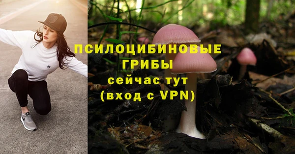 прущий лед Арсеньев