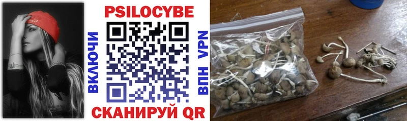 Псилоцибиновые грибы Psilocybine cubensis  Купить закладки  Власиха 